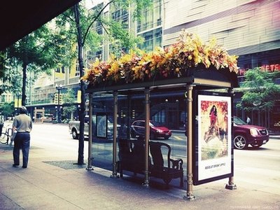 Telhado verde em ponto de ônibus 3