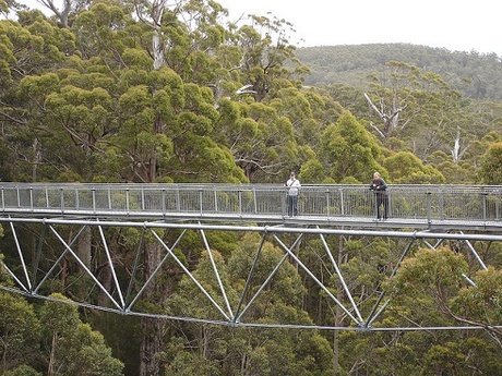 Tree Top Walk