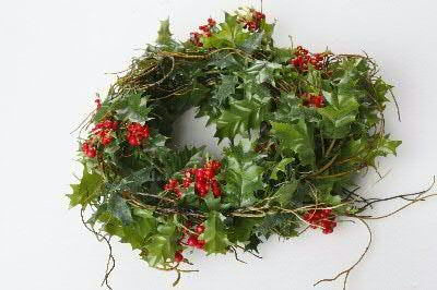 Ilex aquifolium