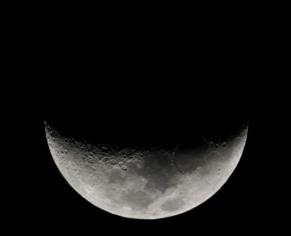 Como a Lua influencia os nossos jardins?