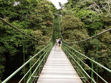 A Estación Biológica La Selva conta com quase cem pesquisadores, que publicam, aproximadamente, 250 trabalhos científicos anualmente