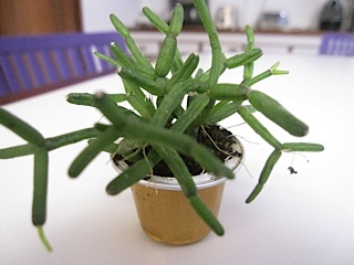 1000000000000140000000F0A128F464
