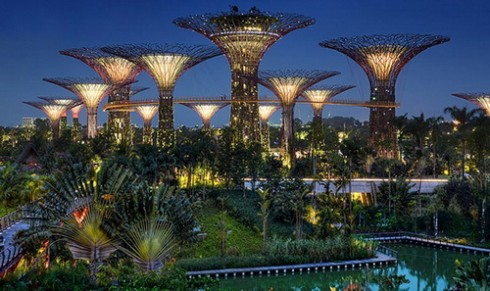 gardens_by_the_bay2