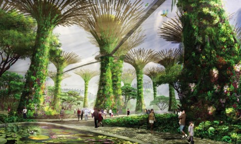 sneak-peek-gardens-by-the-bay-singapore_2
