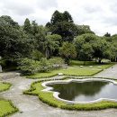 O Jardim Botânico de São Paulo