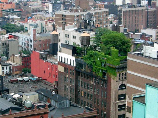 Área verde em uma cobertura de Nova Iorque