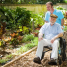 O Jardim Favorece o Tratamento dos Pacientes com Alzheimer