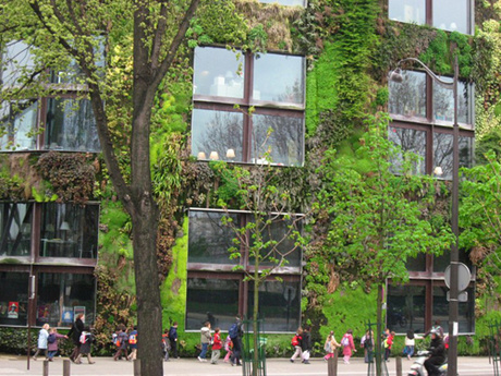Jardim vertical, uma opção para os grandes centros urbanos e para a sua casa