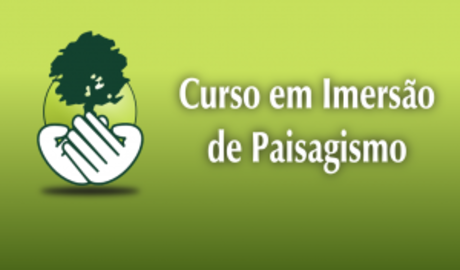 Curso em Imersão