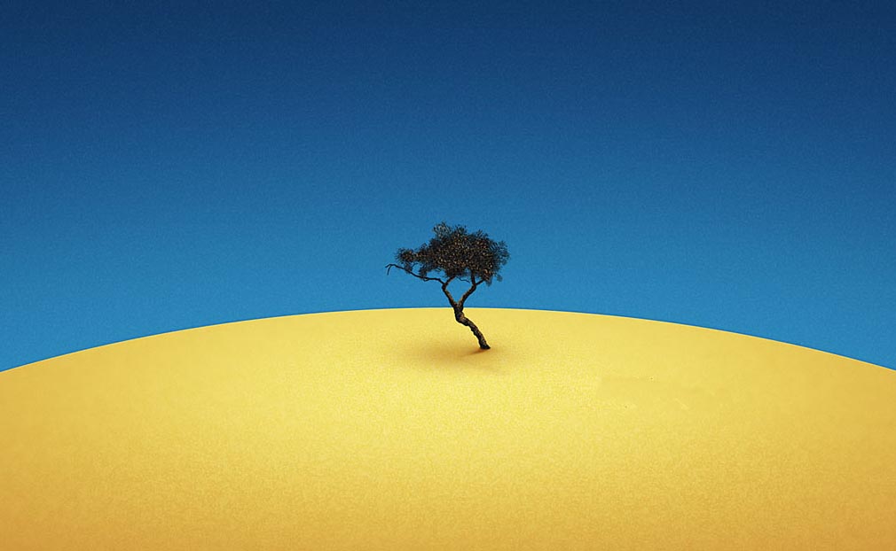 Uma árvore solitária
