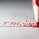 Como minimizar o stress ambiental