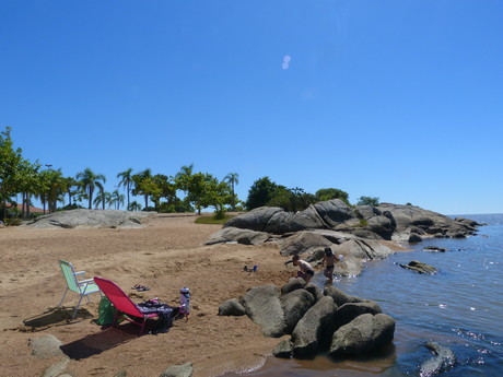 Praia como um Mestre na Ecologia e Jardinagem