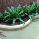 O jardinismo da sobrevivência