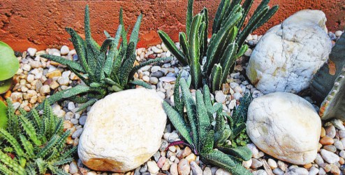 Pedras no jardim
