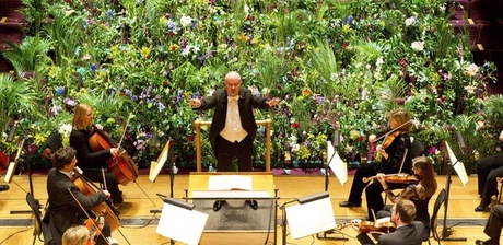 Recital para uma plateia de plantas
