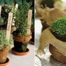 As ervas aromáticas e o equilíbrio ambiental