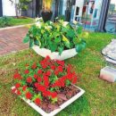 Vasos e flores no jardim