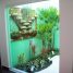 Plantas por todo lado