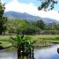Paisagismo de Burle Marx faz aniversário