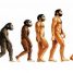 Evolução