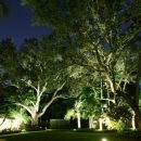 O Jardim iluminado