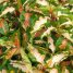 Graptophyllum pictum