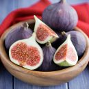 Ficus carica